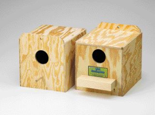 Parakeet Nest Box Regular - 1574