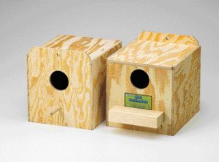 089038 Finch Nest Box Regular - 1579