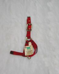 Calf 1 Turn Out Halter Red 30 Inch - 30dcf Rd