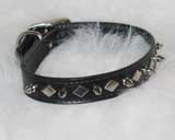 Hamilton Leather Leather Diamond Spike Collar Black 1 X26  LMS1 26BK