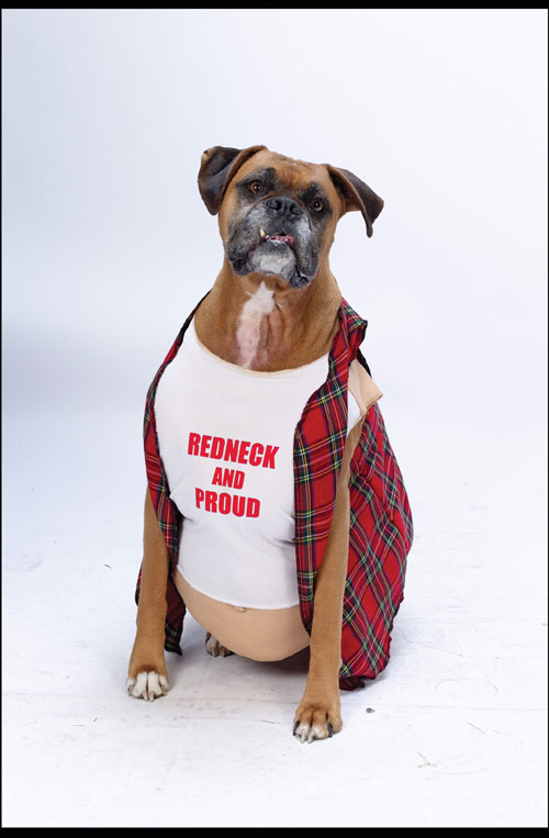 Costumes For All Occasions FW8067 Big Dog Red Neck Pet Costume