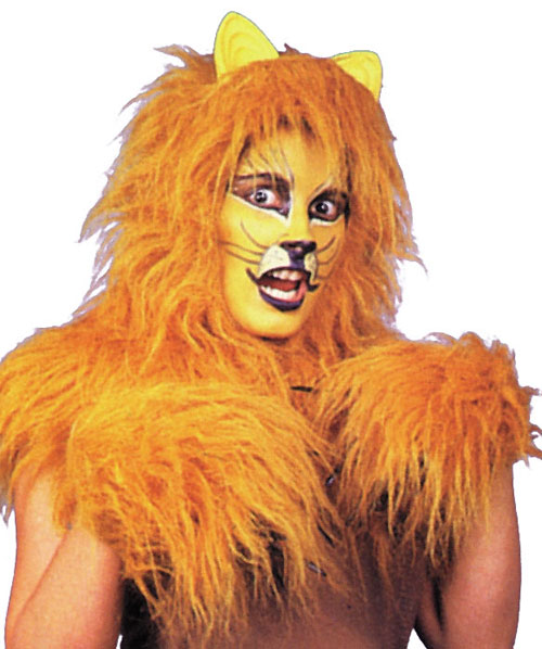 Costumes For All Occasions AB58 Cat Accessory Pack Gold