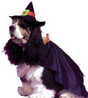 Costumes For All Occasions FW9000WW Pet Costume Witch