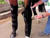 Mackinnon Ice Horse Knee To Ankle Wrap Black - F2206