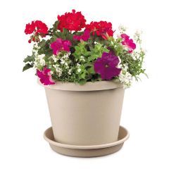 Classic Flower Pot Clay 6 Inch Pack Of 24 - 12006cl