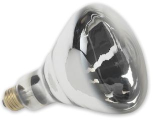 Durvet Supreme Lighting Heat Lamp Bulb White 250 Watt Pack Of 12 03504/601338