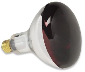 Durvet Supreme Lighting Heat Lamp Bulb Red 250 Watt Pack Of 12 03064/601339