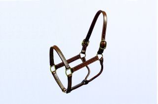 Beiler S & Supply Thoroughbred Horse Halter Brown 1 Inch - 191