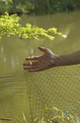 Dewitt Pond Netting 14x14 Feet - PN1414