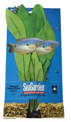 Aquarium Systems Amazon Sword Plant Large - SG81
