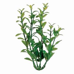 United Pet Group Tetra Hygrophila Aquarium Plant Green 9 Inches - 19124