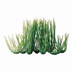 United Pet Group Tetra Hairgrass Aquarium Plant Green 12 Inch - 19137