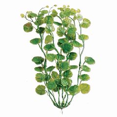 United Pet Group Tetra Cardamine Aquarium Plant Green 18 Inch - 19148