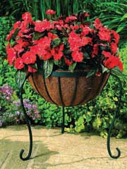 Cobra Canterbury Plant Basket Stand Black 15 Inch  BSCB15BB