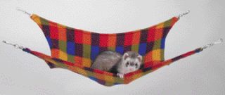 Leisure Products - Marshall Pet Products Leisure Lounge - FP-111