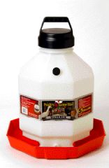 Poultry Fountain Waterer White Red 5 Gallon - Ppf-5