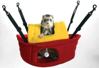 bci19188 Marshall Pet Products Ferret Ark Medium   FT 285