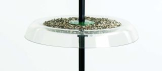 Droll Yankee Seed Try With Squirrel Guard Clear Xlarge - GS
