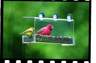 Duncraft Cardinal Classic Window Feeder - 74201