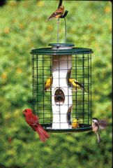 Vari-crafts Avian Series Caged Bird Feeder Green 2 Quart - AV-5M