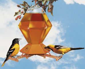 Woodstream Hummingbird W Deluxe Oriole Feeder 36 Ounces - 252