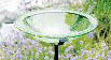 Achla Designs Glass Bird Bath Bowl Iron Light Green