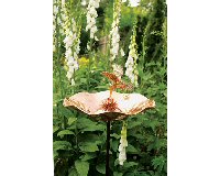 Achla Designs Hummingbird Bird Bath