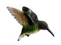 Clark Collection Ruby Throated Hummingbird Window Magnet