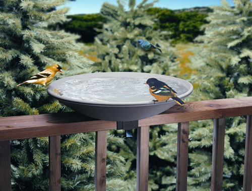 Allied Precision 20 Inch EZ Deck Bird Bath Tilt and Clean - Non-Heated