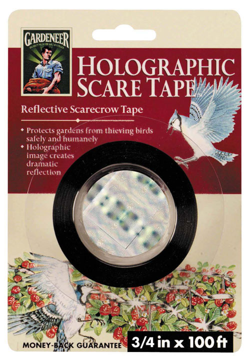 Dalen Products Inc Housewares