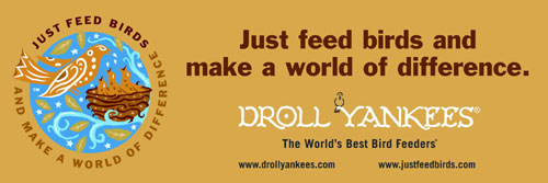 Droll Yankees Inc Just Feed Birds Static Cling Decal
