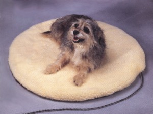 Pet Bed - Allied Precision Medium Heated Pet Bed