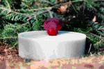 Happy Bird Corporation Wild Bird Super Solar Sipper White