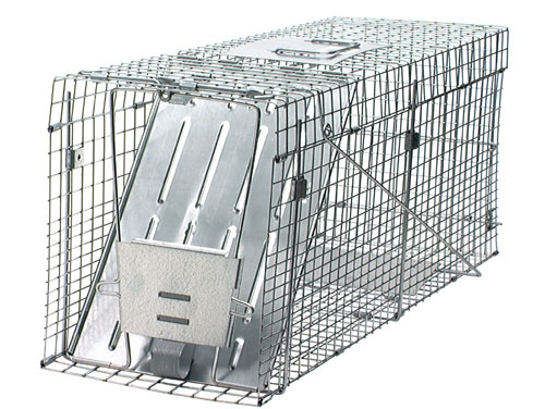 Havahart Raccoon Collapsible Trap 32 x 10.5 x 12.5