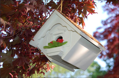 Little Wren Bird Bird House