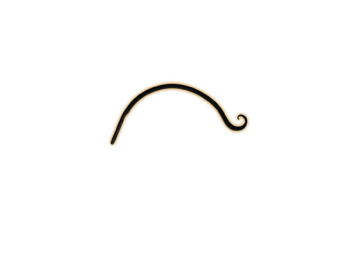 Hookery HKRYA19 12 Hook Downturn Straight Hanger.