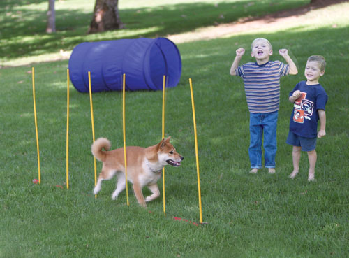Kyjen Company Dog Agility Starter Kit