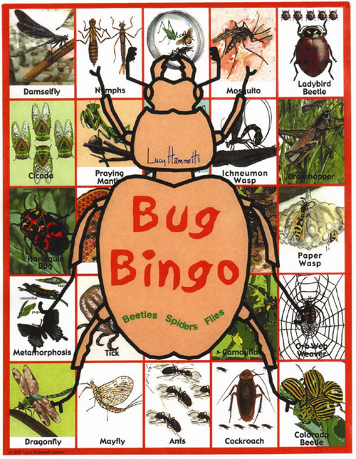 Lucy Hammet Bingo Games Bug Bingo Game Lh2777