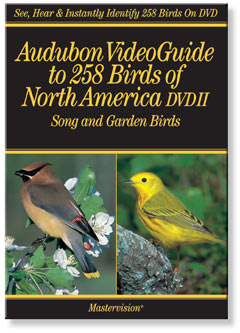 Master Vision Audubon Video 258 Birds Song and Garden Birds