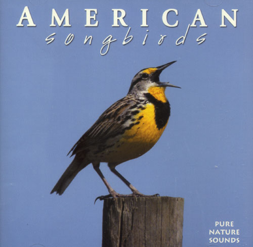 American Songbirds Cd