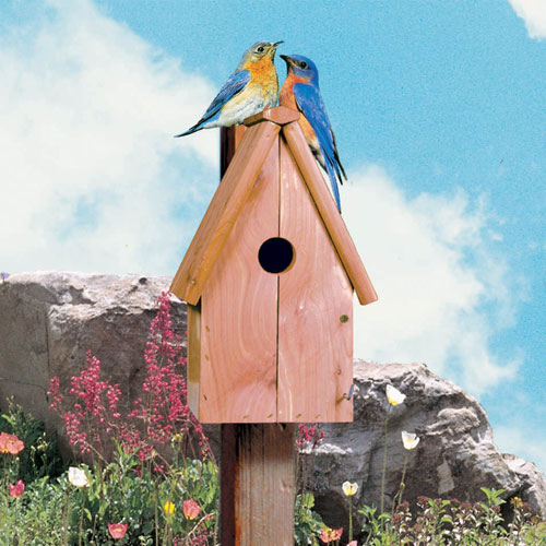 Perky Pet Blue Bird House