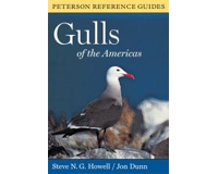 Peterson Books Gulls Of The Americas Book