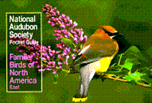 Audubon Familiar Birds - Eastern Book