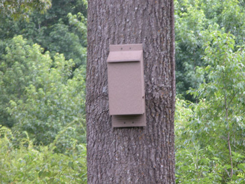Rubicon Bat House - Driftwood