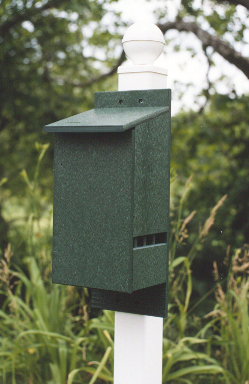 Rubicon Bat House - Green