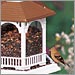 Artline Large Gazebo Bird Feeder