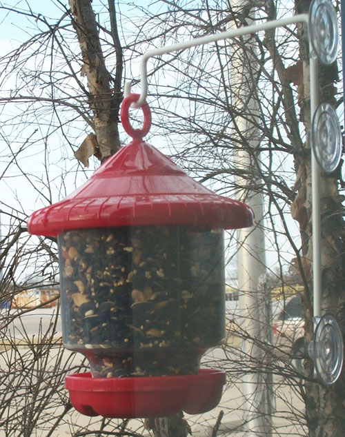 Songbird Essentials Window Suction Cup Hanger