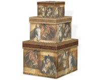 Storage Store With Style Equus Nesting Boxes GC4285