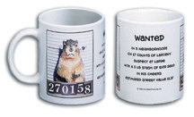 Arundale ARM20 Mug Shot Coffee Mug
