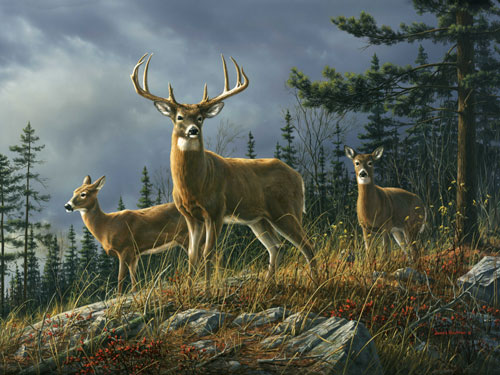 Tuf Top Cutting Boards Deer Autumn Whitetail Cutting Board  Medium